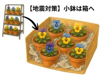 室内・ベランダ植物の地震対策。転倒・落下を防ぐ安全配置と管理の基本