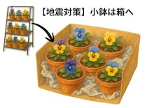 室内・ベランダ植物の地震対策。転倒・落下を防ぐ安全配置と管理の基本