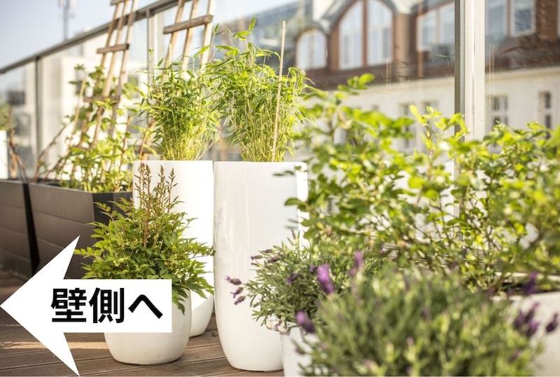 ベランダの鉢植え