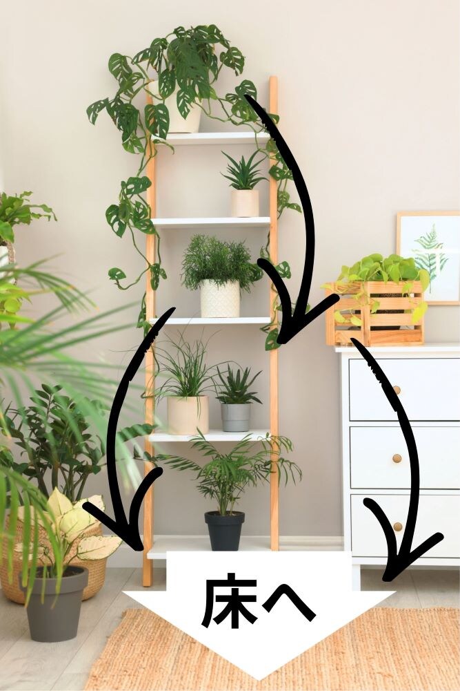 観葉植物の地震対策