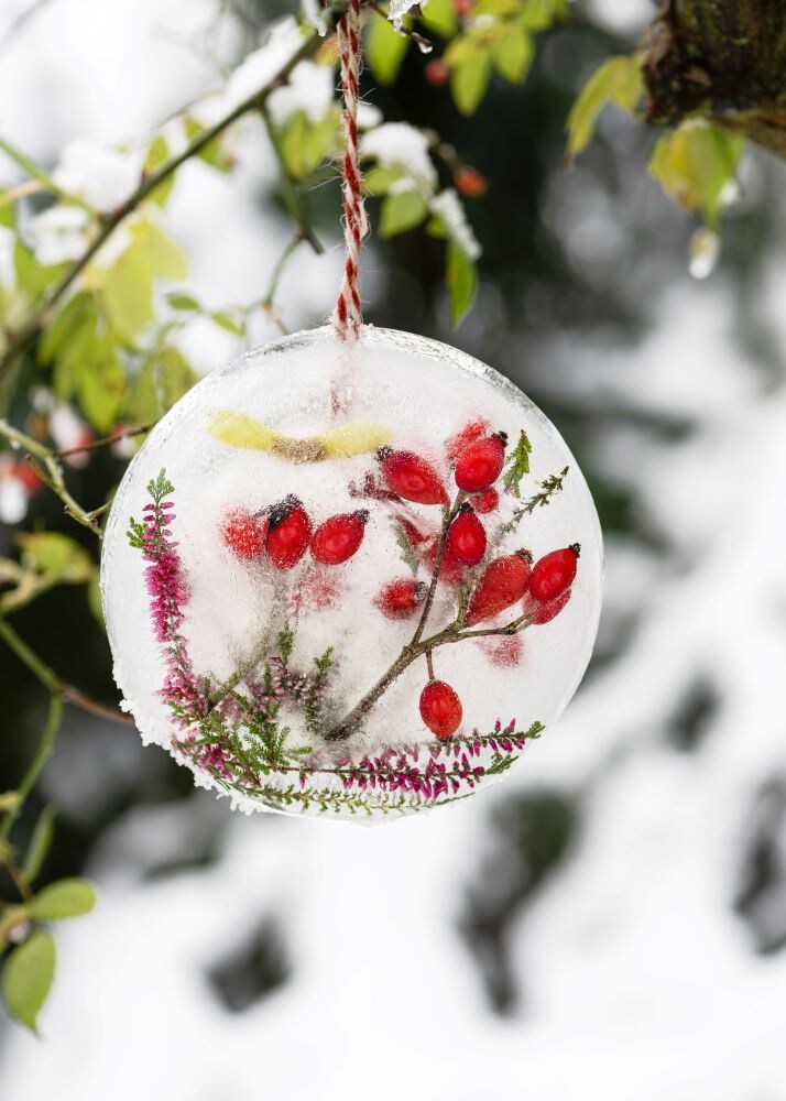 氷のオーナメント