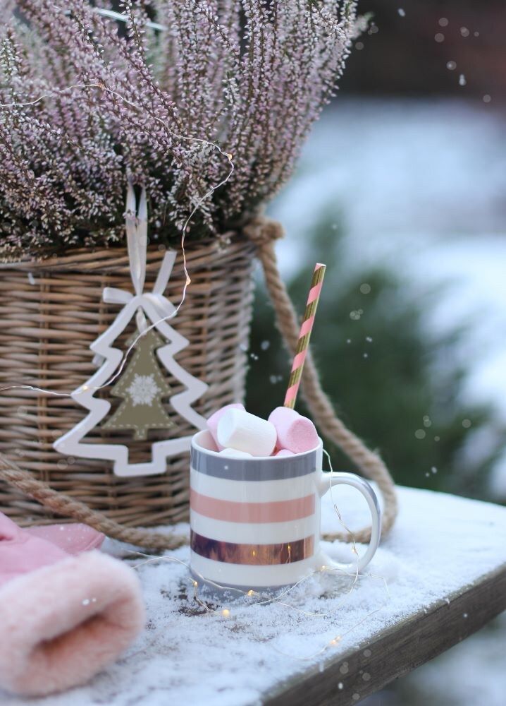 冬のガーデンデコレーション