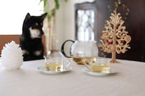 寒い季節に“ほっとする”リンデンティー。愛犬にもできるやさしいケア＆手作り肉球バーム