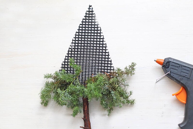 ヒムロスギをつける