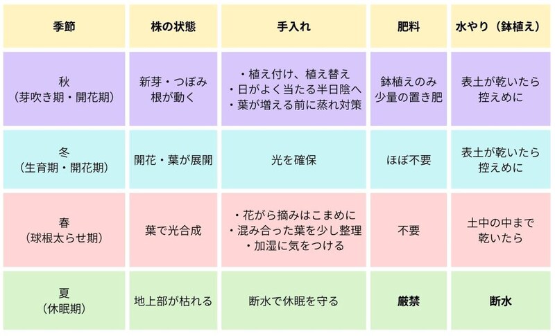 原種シクラメンの育て方