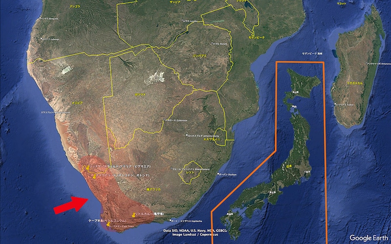 冬型塊根自生域地図