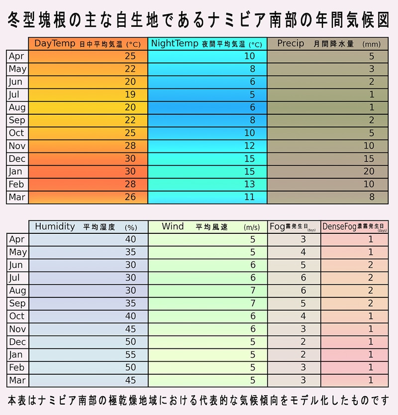 ナミビアの年間気候図