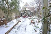 冬至（12月22日）は、植物の“根”が静かに動き出す日。春に差がつく庭仕事