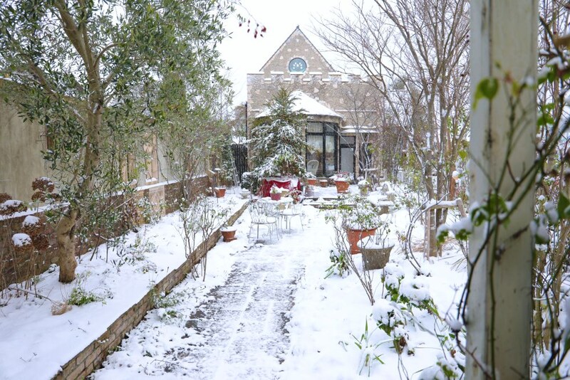 冬至（12月22日）は、植物の“根”が静かに動き出す日。春に差がつく庭仕事