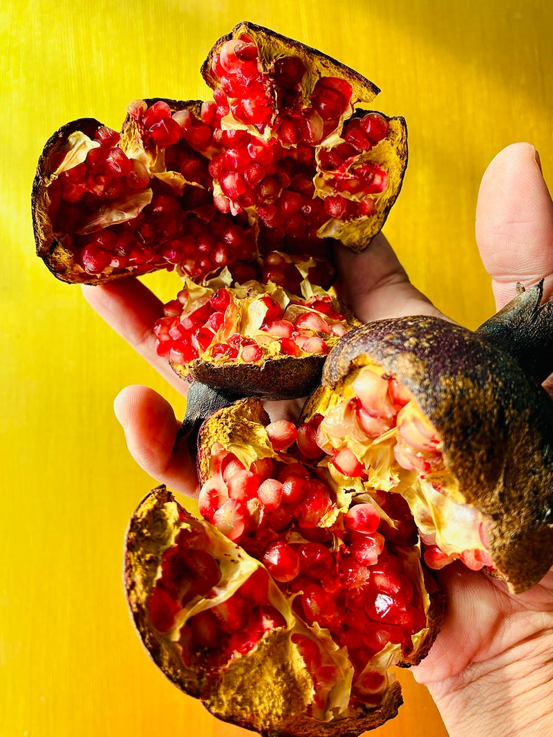 黒実のザクロ‘エイトボール’