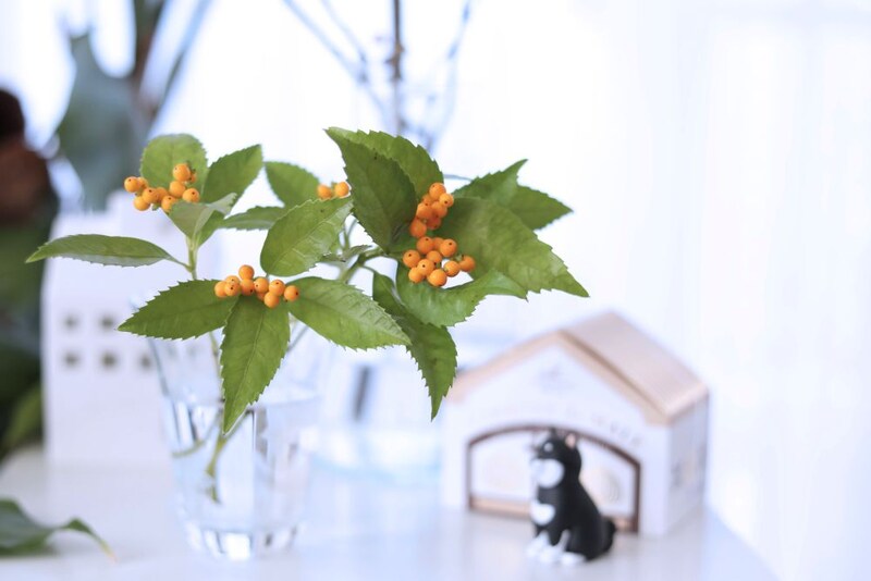 キミノセンリョウ