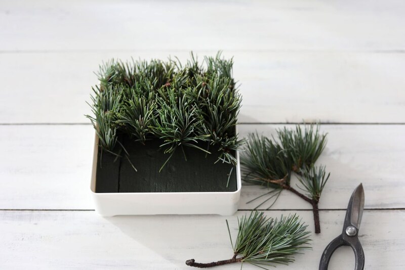 ゴヨウマツを挿す