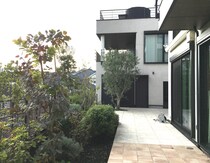 【実例紹介】建築と緑が引き立て合う家──構造と植栽がつくる、心地よさの設計思想