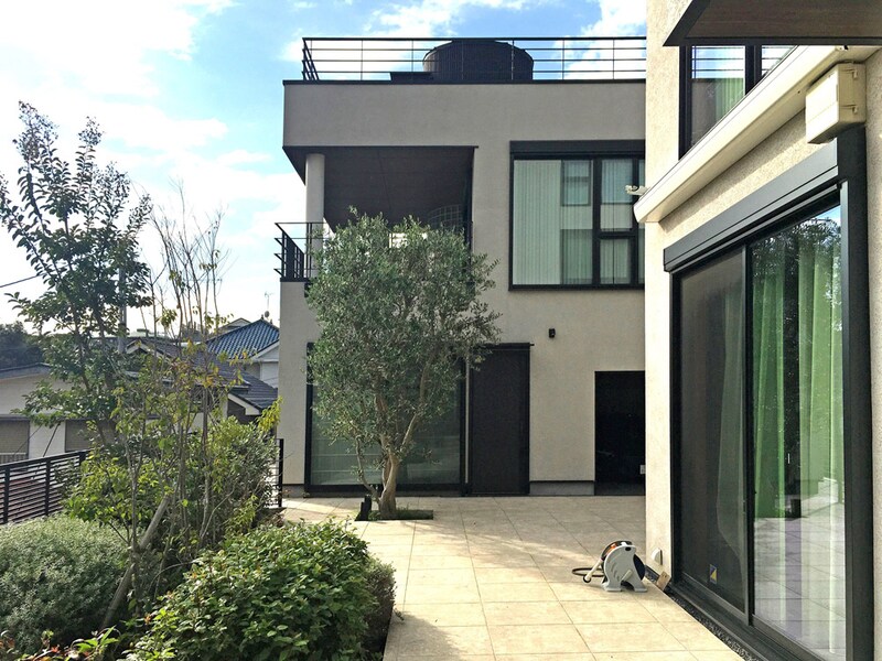 テラスから振り返ってみるとアイストップツリーのオリーブの木。