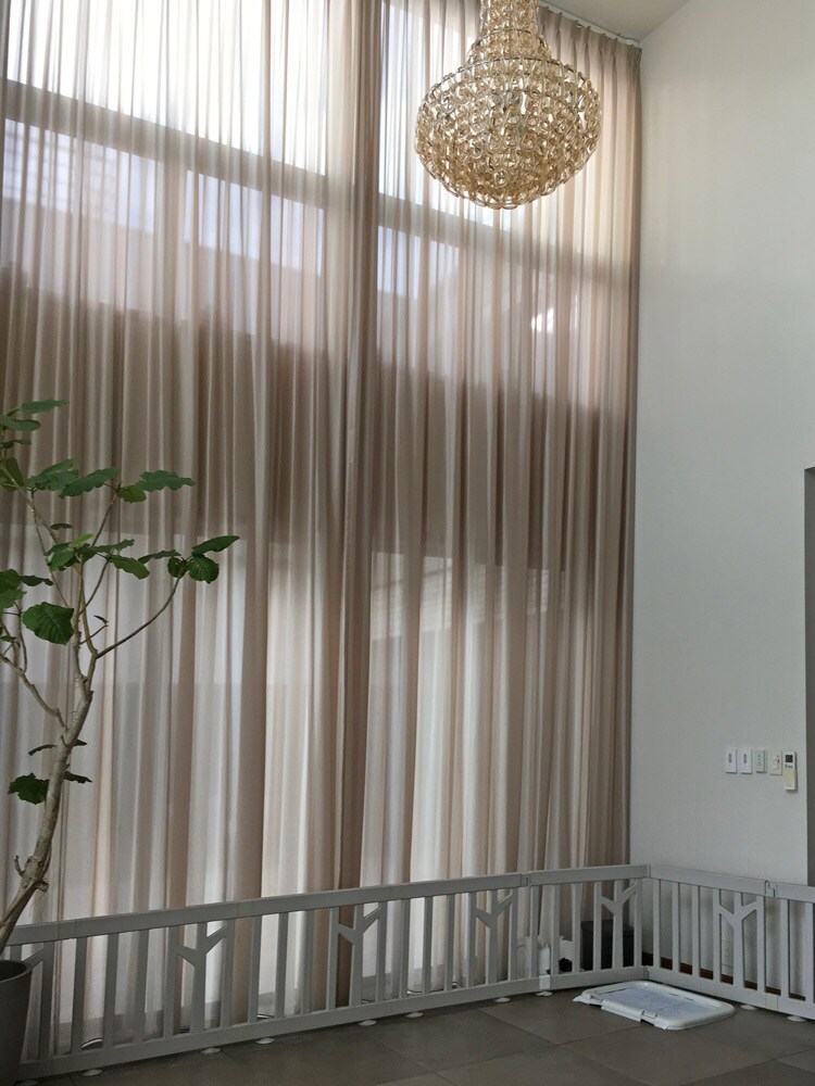 吹き抜けのドッグランスペース。