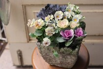 お正月を迎える“祝いの寄せ植え”。福を呼ぶハボタンを玄関や窓辺に