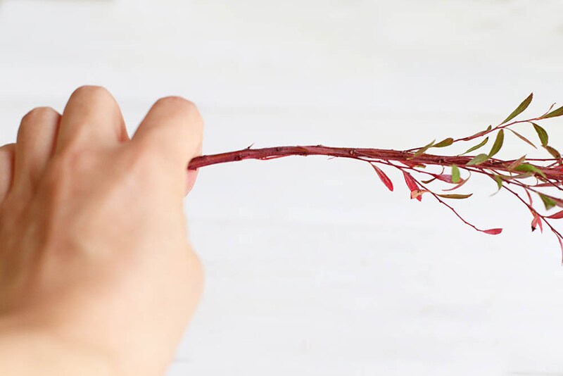 ユキヤナギの枝を曲げる