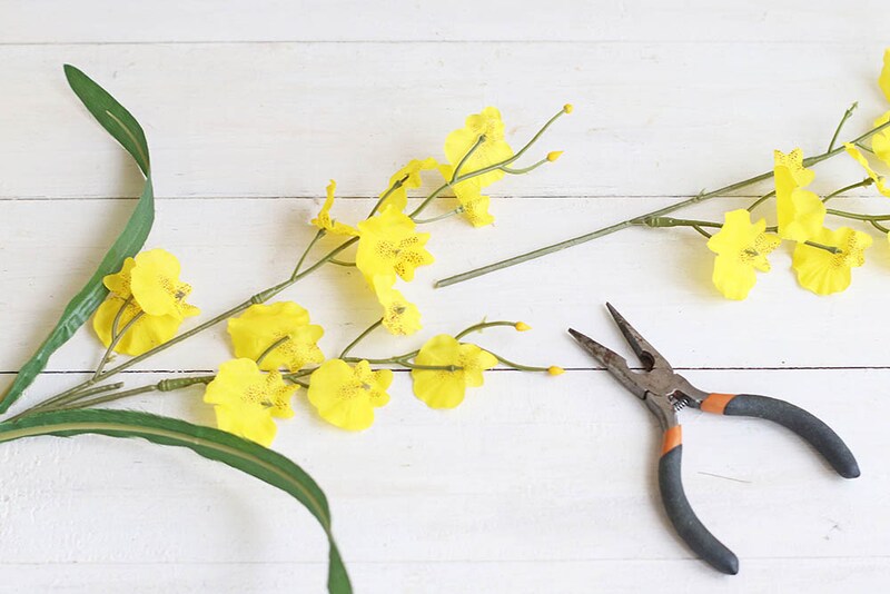 オンシジウムをカット