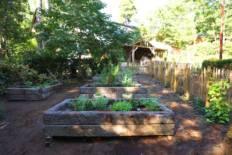 ハーブガーデンや冊も、プロのアドバイスを受けながらみんなで作り上げたもの。