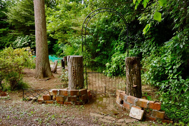 訪問者を出迎えてくれるバラのアーチ。