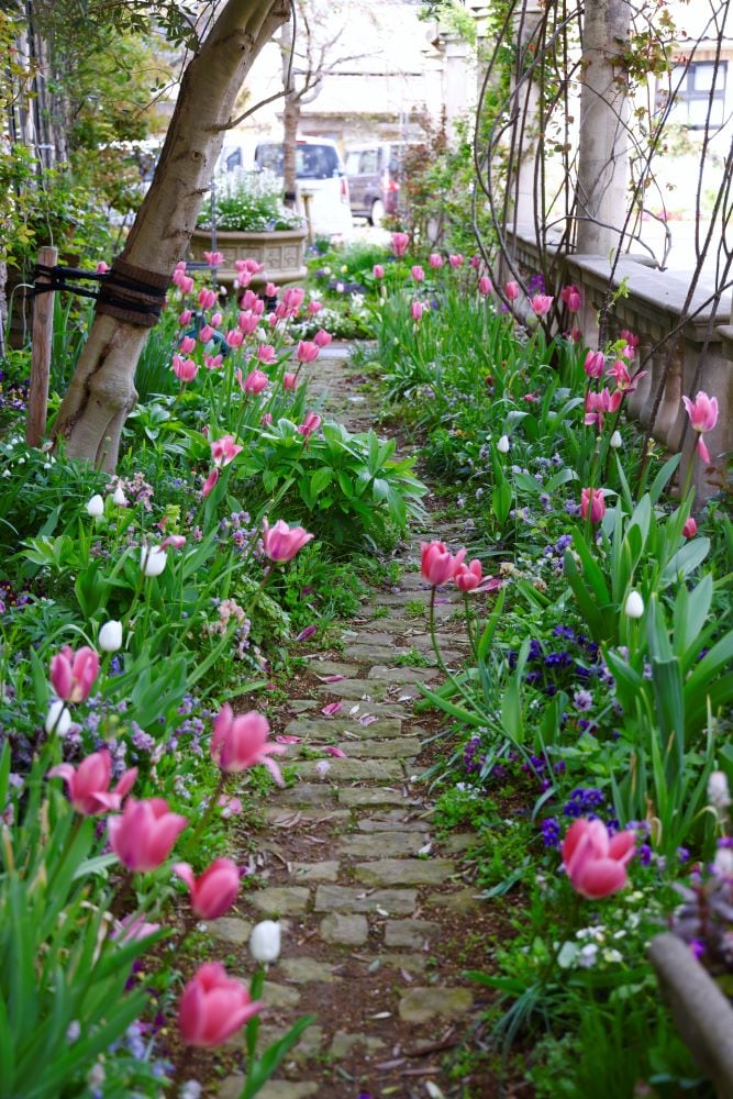 チューリップの小道