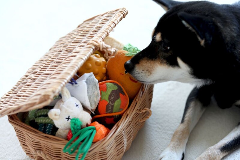 おもちゃのバスケット