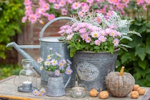 秋こそベストシーズン！ 翌春の花壇が見違える「11の庭仕事」リスト