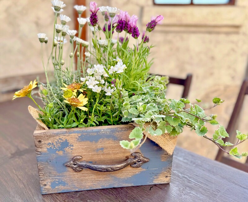 寄せ植えボックス