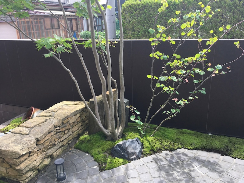 ダークカラーの背景が引き立てる緑と高級感