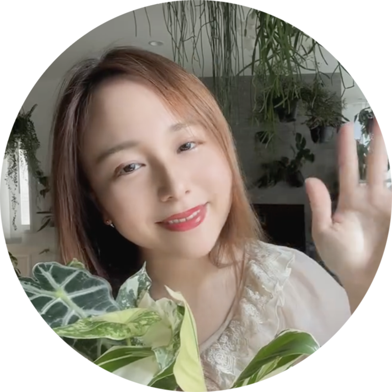 観葉植物系インスタグラマーのみなりん