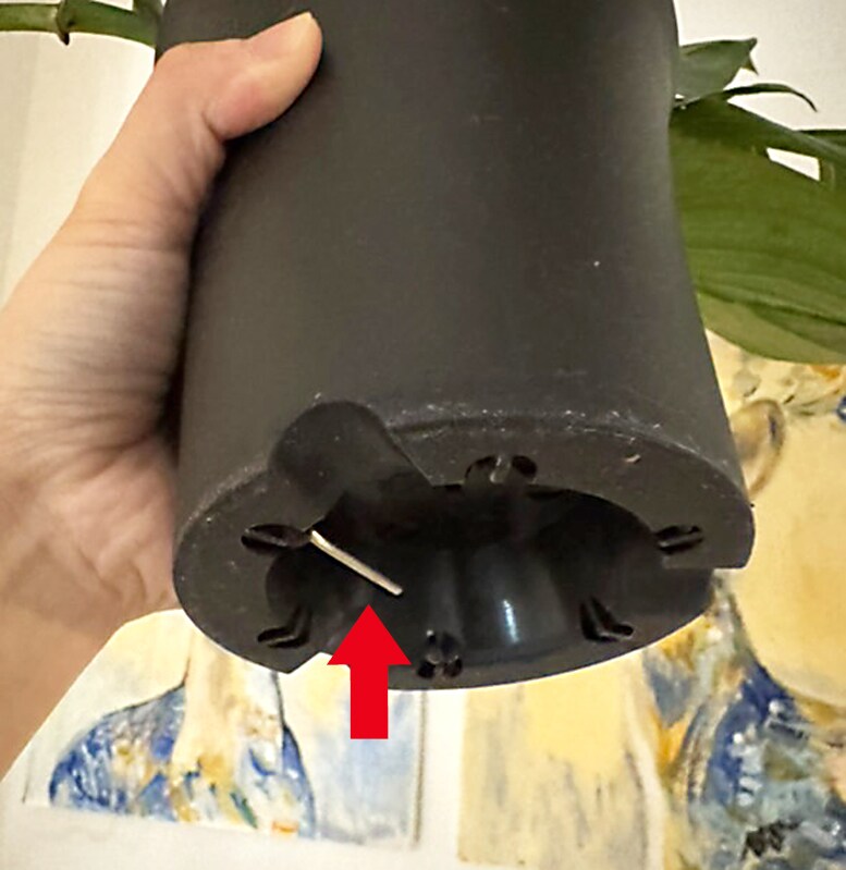 観葉植物系インスタグラマー「みなりん」さんの吊り術の秘密