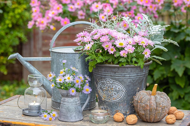 秋こそベストシーズン！ 翌春の花壇が見違える「11の庭仕事」リスト