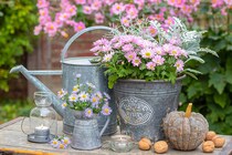 秋こそベストシーズン！ 翌春の花壇が見違える「11の庭仕事」リスト