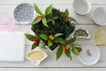 新年のお祝いに！ 縁起物のゴヨウマツとセンリョウで作る簡単＆モダンなお正月アレンジメント