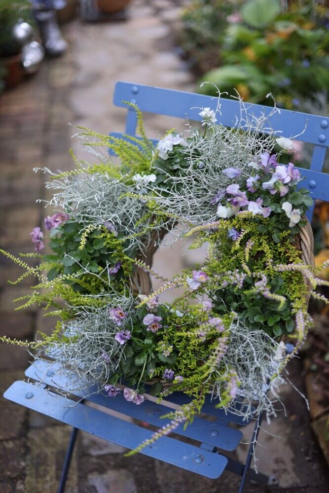 ビオラ、カルーナ、クッションブッシュのリース寄せ植え