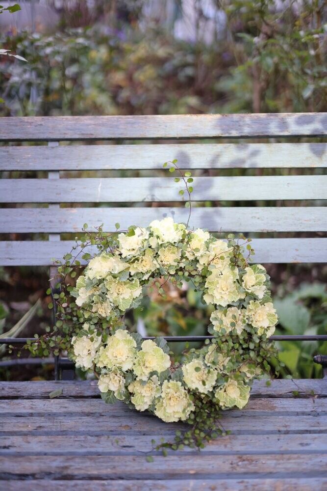 ハボタンリース