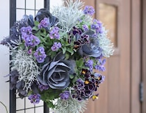 新年の入り口を、美しく。ハボタンの寄せ植えで玄関やベランダに静かな華やぎを