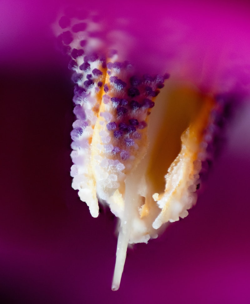 Trialist/Shutterstock.com