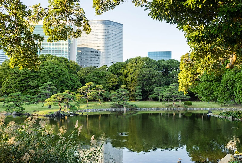 浜離宮庭園（東京・中央区）