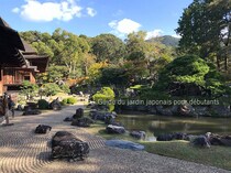 【日本庭園 超・入門】金閣寺、兼六園、桂離宮……世界が絶賛する「池泉庭園」の美と歴史を紐解く