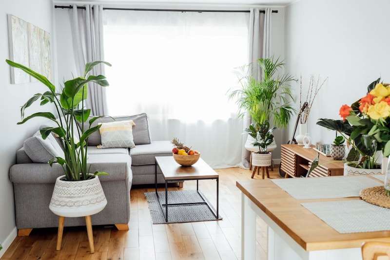 インドアグリーン