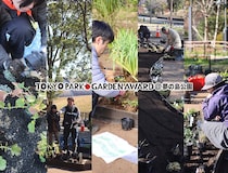 「第4回東京パークガーデンアワード夢の島公園」ガーデナー5名の“庭づくり”をレポート