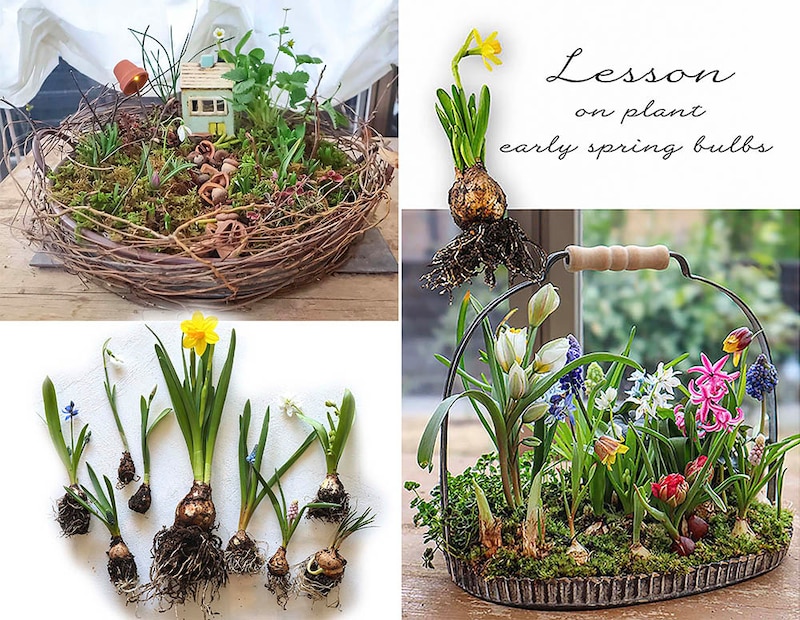 【全国どこからでも】おうちで楽しむ春の小さな庭作り。毎年即完売の「球根の籠森」2026年2月レッスン開催！