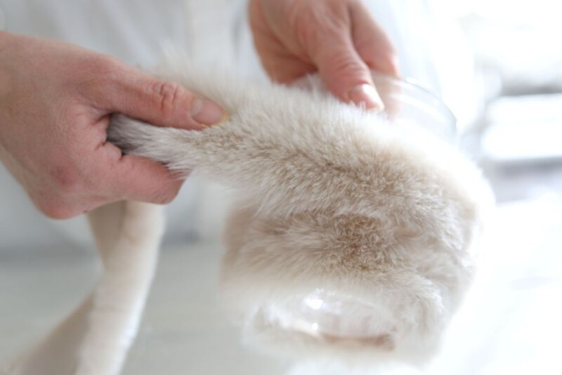 ファーテープを貼る