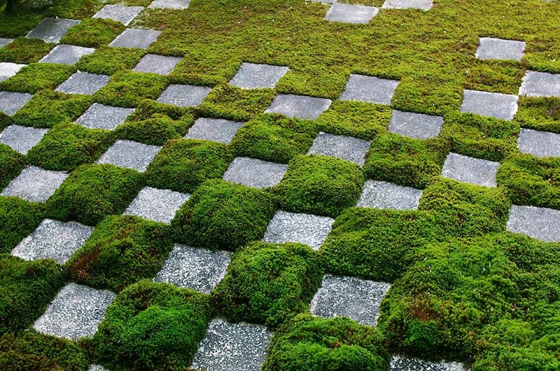 東福寺方丈庭園