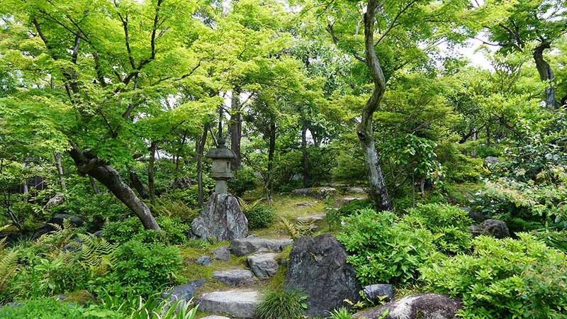 愛知・犬山市「有楽苑」国宝茶席「如庵」