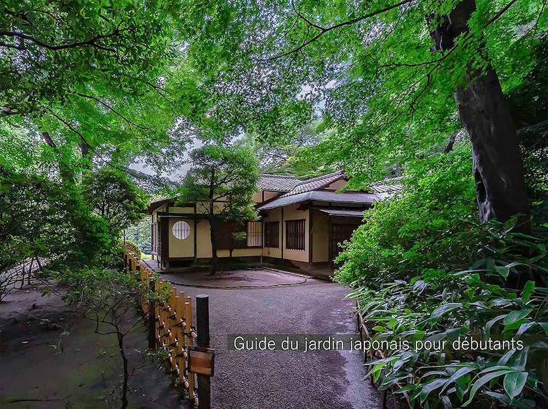 【日本庭園 超・入門】なぜ日本庭園には“飛び石”があるのか？ 茶の湯が育んだ「露地」の美学