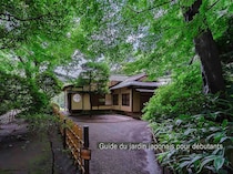 【日本庭園 超・入門】なぜ日本庭園には“飛び石”があるのか？ 茶の湯が育んだ「露地」の美学