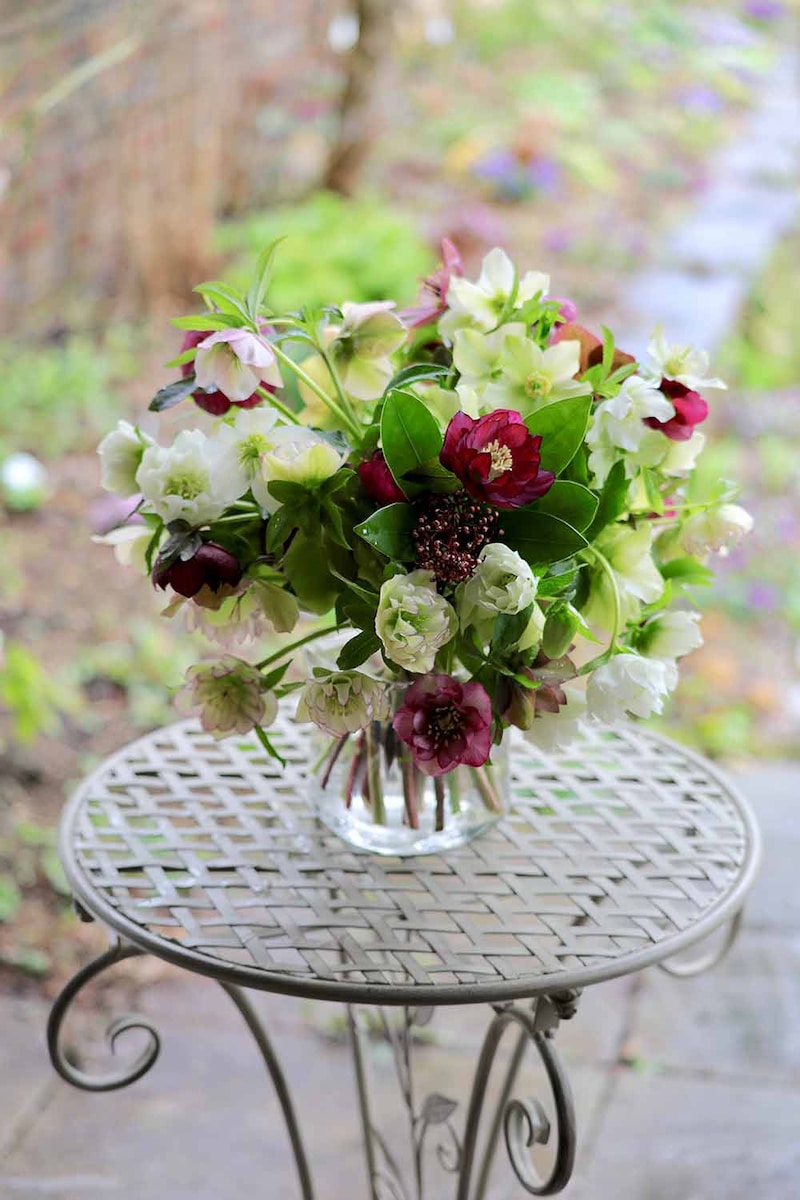 クリスマスローズのブーケ〜面谷ひとみさんの庭より〜
詳細はこちら↓
https://gardenstory.jp/gardening/19382