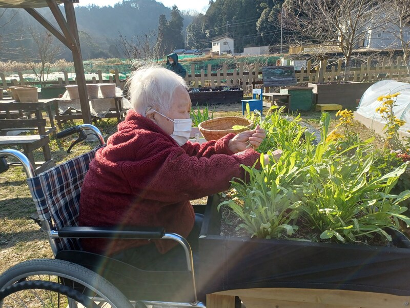 利用者の自分の畑での作業風景。